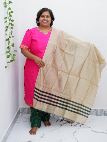 Luxe Salwar Suit with Shawl – Casual & Festive Wear