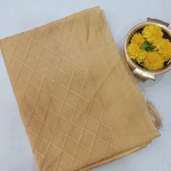 SOLID CHANDERI SILK COTTON SHAWL WITH SEQUENCE