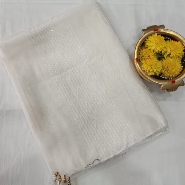 SOLID CHANDERI SILK COTTON SHAWL WITH SEQUENCE